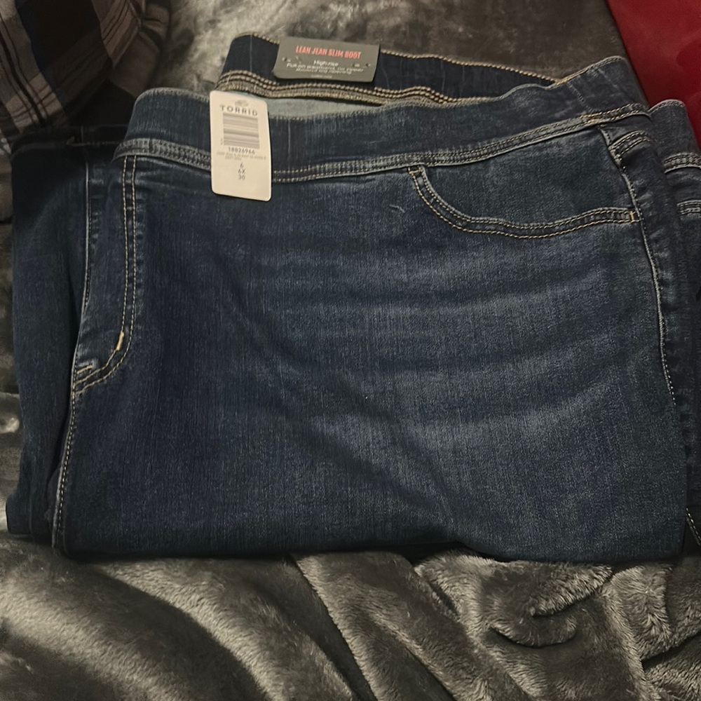 Torrid jeggings